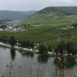 Burg Metternich