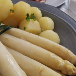 Grüner Baum