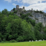Burg