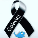 Gastro_ Fred Galiana