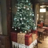 The Swan Inn