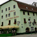 Roter Hirsch