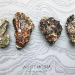 White Horse Oyster Seafood