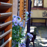 Raskolnikoff Und Pension