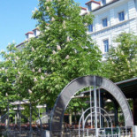Brauhaus Am Waldschlösschen