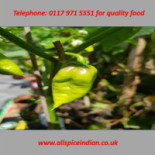 Allspice Tandoori Indian Takeaway