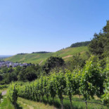 Cbc Biergarten Schützenhaus Korber Kopf