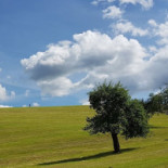 Scheitlinsbüchel