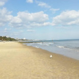 Indian Ocean