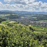Bergwirtschaft Sissacherfluh