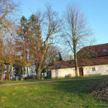 Gasthaus Zur 1000jährigen Linde