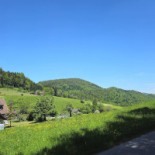 Chilchli Bärenwil