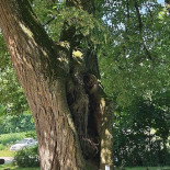 Gasthof Lackner In Der Steingrub
