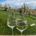 Weingut Tschermonegg