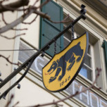 Bären Buchsi