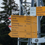 Erlebnis- Rossweid