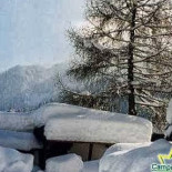 Camping-sternen