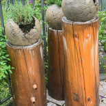 Edith's Alpenrösli