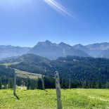 Alp Wildegg