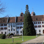 Klosterkirche Rheinau