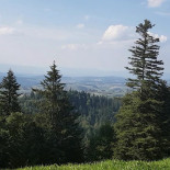 Ahorn-alp
