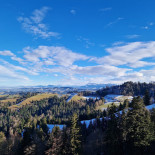 Ahorn-alp