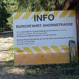 Ahorn-alp