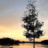 Strandbad Moossee