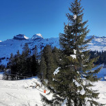 Bergrestaurant Laucheren