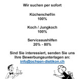 Ochsen