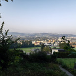 Zellfeld