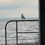 Strandbad Rorschach