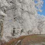 Wauwil