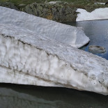 Tofino Burgerbude