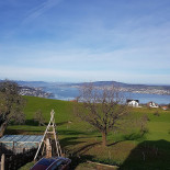 Feld
