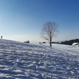 Bildhus