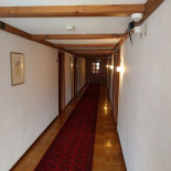 Hirschen