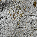 Parc Des Bastions