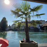 Aarebistro Aare Chalet