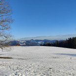 Waldweid
