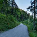 Waldweid