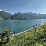 Schifflände Quinten