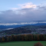 Homberg