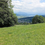 Homberg