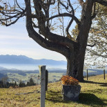 Gabelspitz Schallenberg