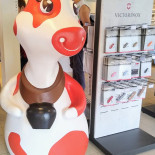 Emmentaler Schaukäserei