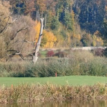 Golfpark Moossee