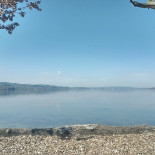 Seeland, Sempach