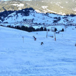 Skilift Roggen Oberiberg