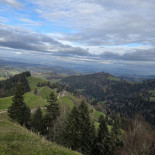 Ahorn-alp